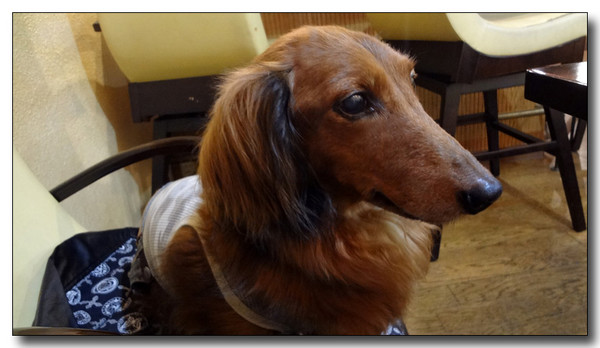 20130704214940.jpg