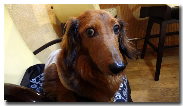 20130704214954.jpg