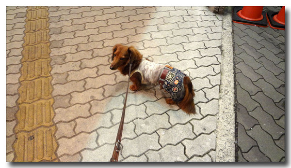 20130704214955.jpg