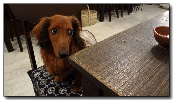 20130704231143.jpg