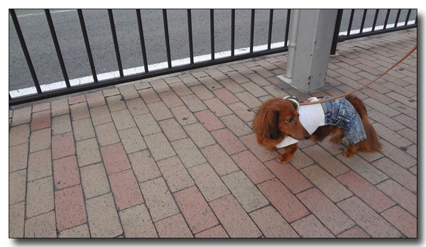 20130704231228.jpg