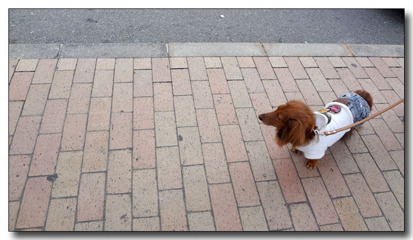 20130704231229.jpg
