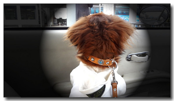 20130704231230.jpg