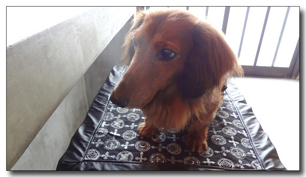 20130707112751.jpg