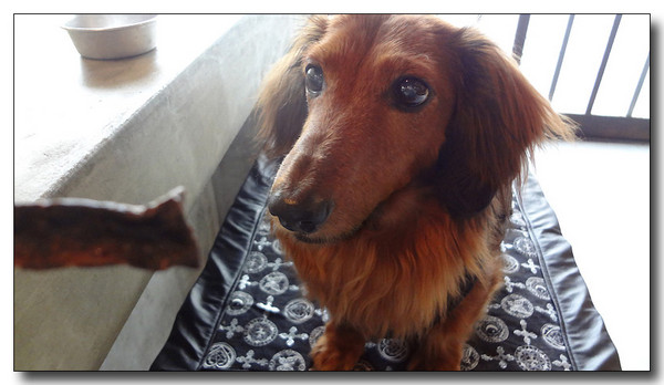 20130707112850.jpg