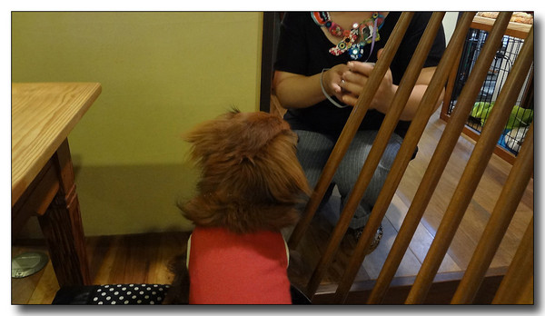 20130707131429.jpg