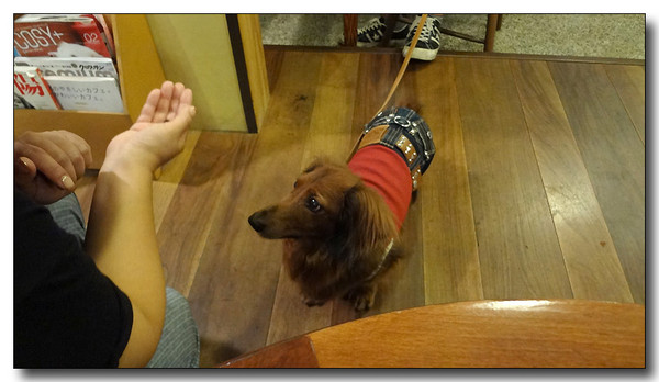20130707131524.jpg