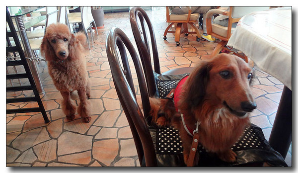 20130707133132.jpg