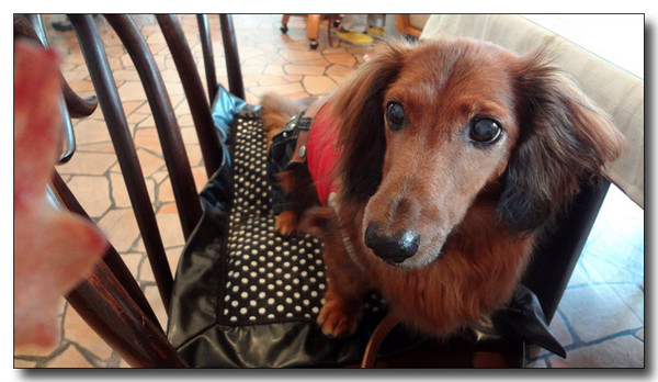 20130707133144.jpg