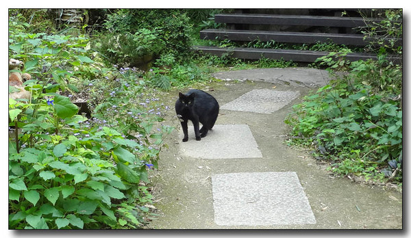 20130708024947.JPG