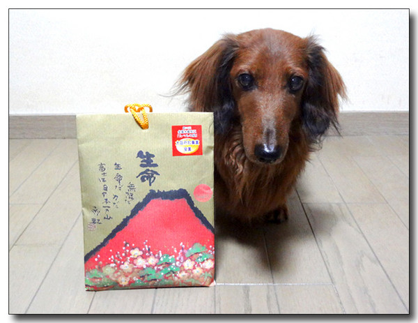 20130708032239.jpg