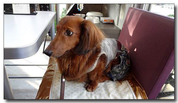 20130710212329.jpg