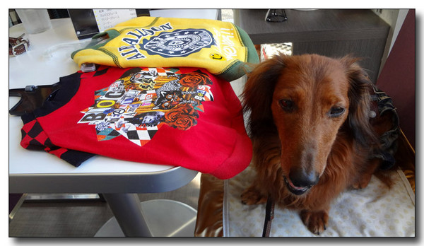 20130710212415.jpg