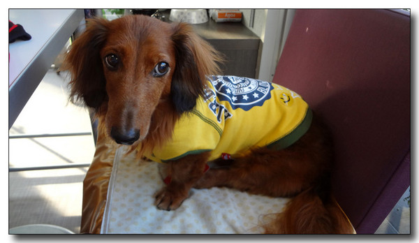 20130710212416.jpg