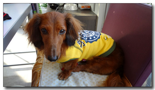 20130710212417.jpg