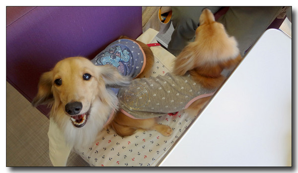 20130710212419.JPG