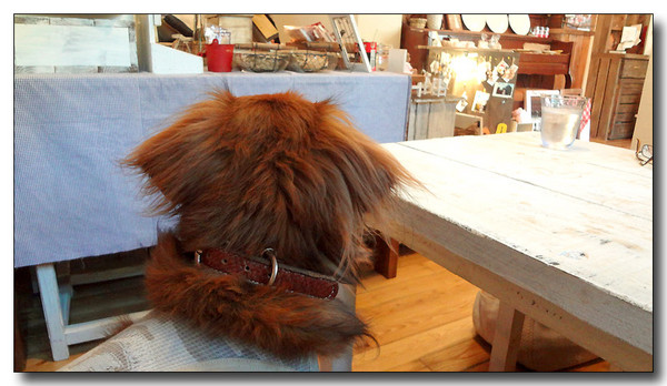 20130710212525.JPG