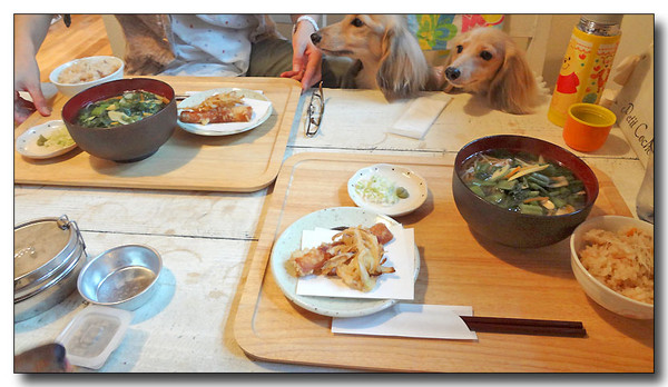 20130710212527.JPG