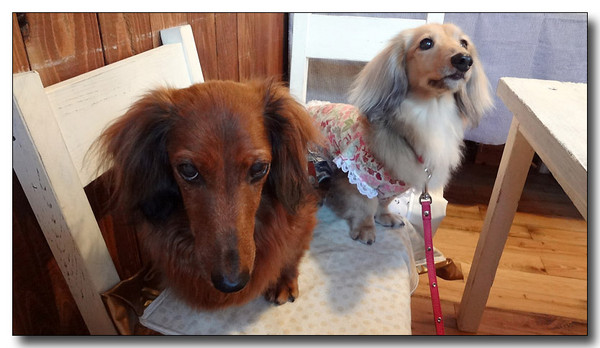 20130710212643.jpg
