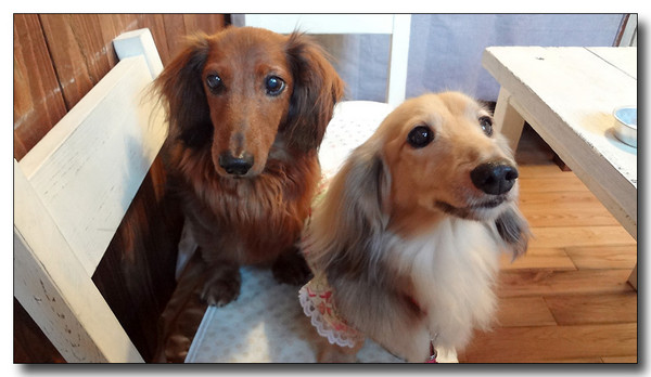 20130710212713.jpg