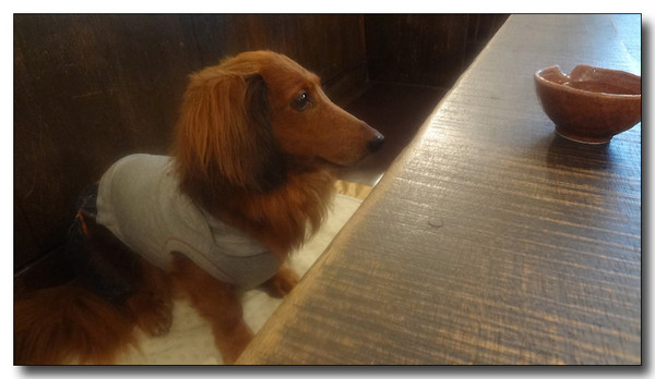20130710221337.jpg