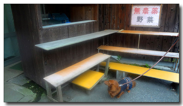 20130710221412.jpg