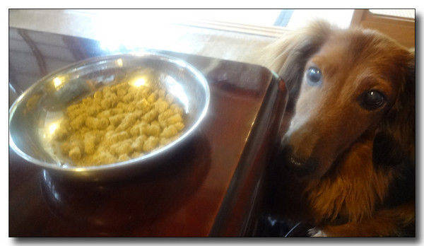 20130711155217.jpg