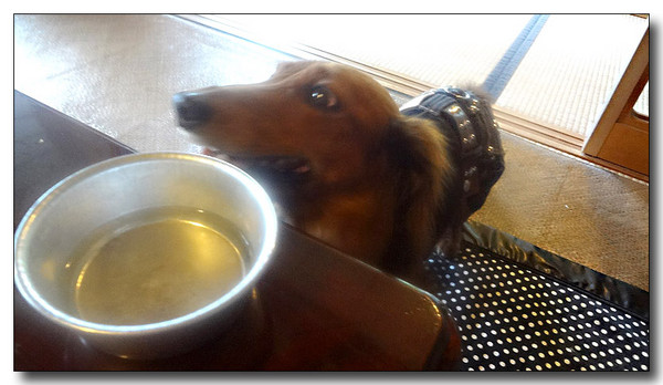 20130711155258.jpg