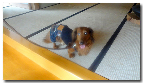 20130711155337.jpg