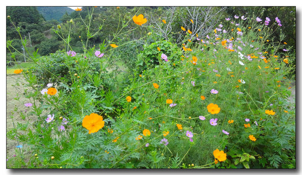 20130711155400.JPG