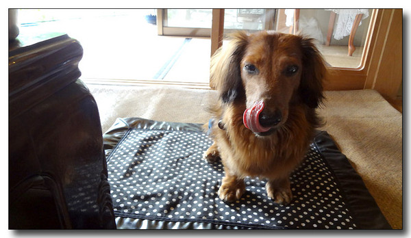 20130711160749.jpg