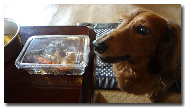 20130711160751.jpg