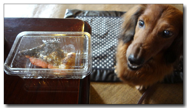 20130711160752.jpg