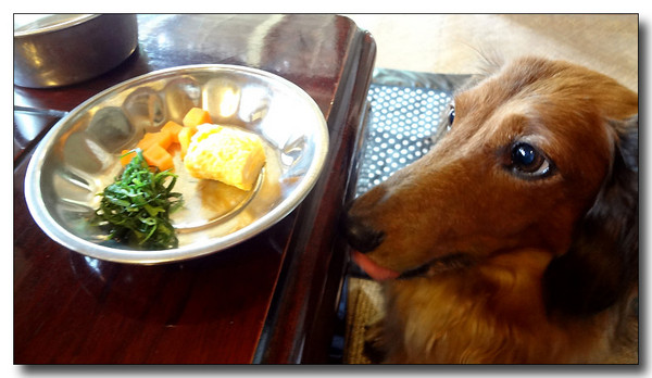 20130711160825.jpg