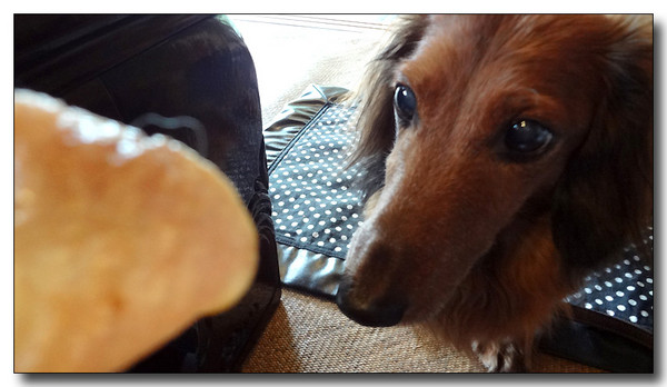 20130711160827.jpg