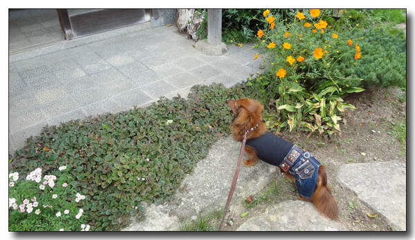 20130711161559.jpg