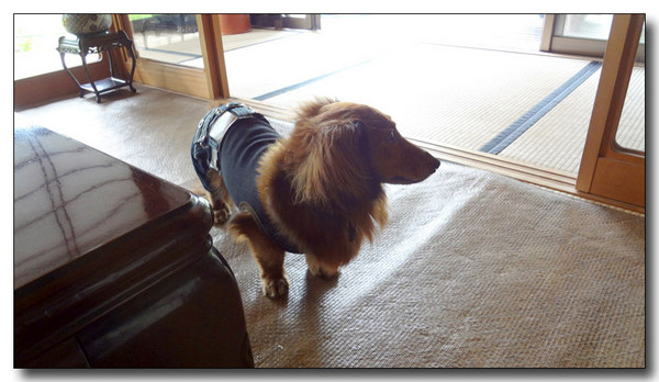 20130711161628.jpg