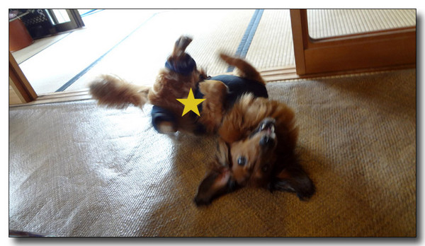 20130711161629.jpg