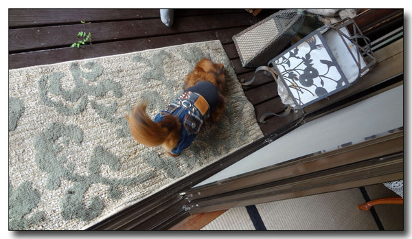 20130711161711.jpg