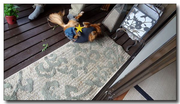20130711161712.jpg