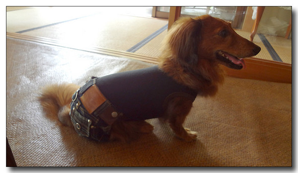 20130711161714.jpg