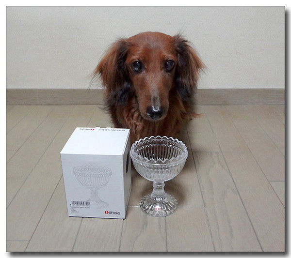 20130711163740.jpg