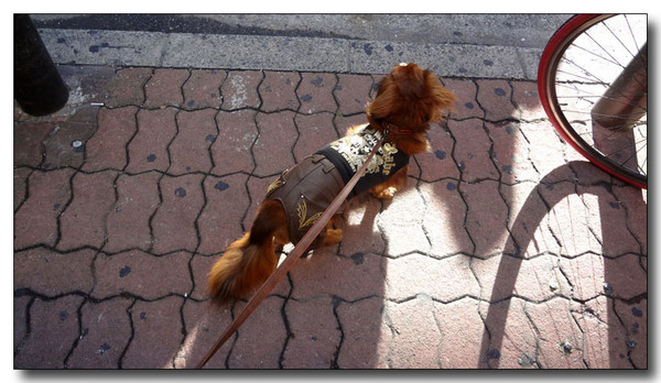 20130711164515.jpg