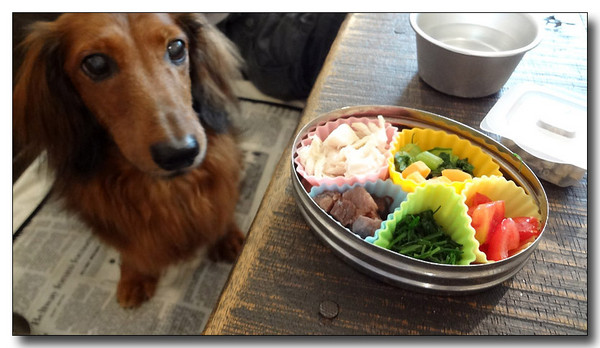 20130711210326.jpg