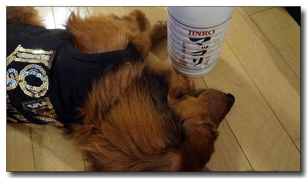 20130711211528.jpg