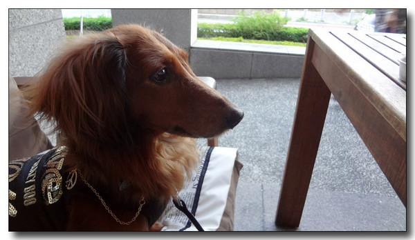 20130711211618.jpg