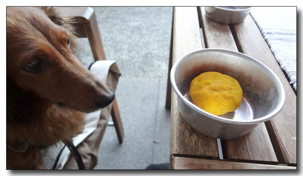 20130711211621.jpg