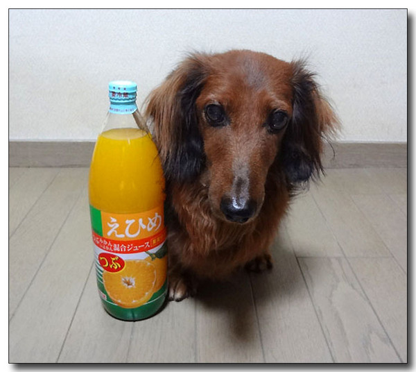 20130711212211.jpg