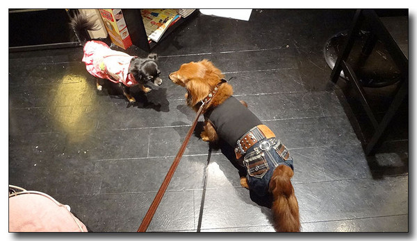 20130711225621.jpg