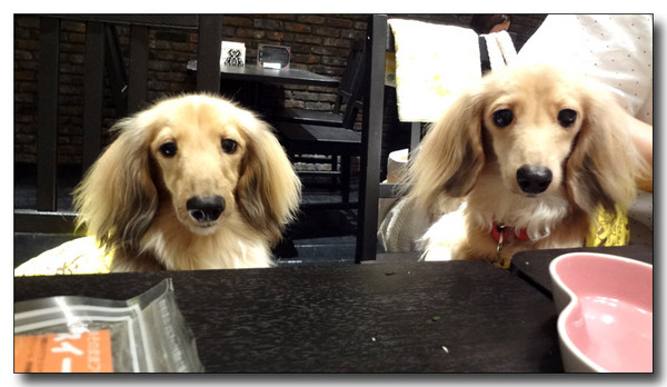 20130711225643.JPG